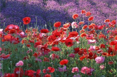 ​珍惜时间的唯美句子 珍惜时间的名言推荐56句