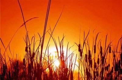 ​公司激励员工的口号