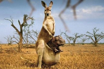 ​【推荐】2025提前祝高考顺利的句子汇编91句