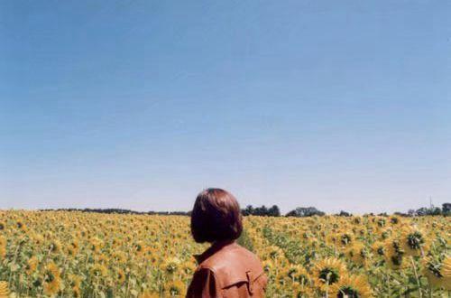 描写亭子的优美句子