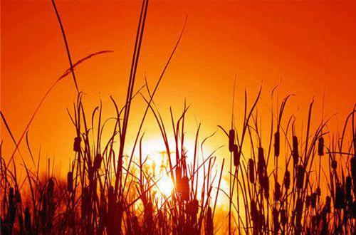 关于珍惜时间的名人名言