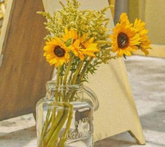 ​小学生运动会加油口号简短(67句)