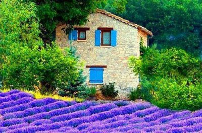 ​端午祝福语有意境的2025年汇总73句