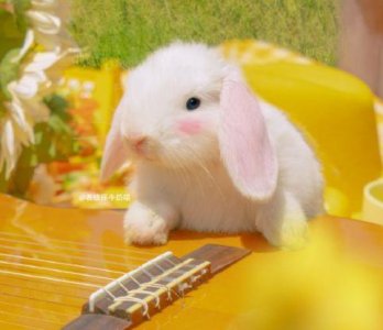 ​祝福母亲节快乐的话 适合母亲节的心情短语祝福语