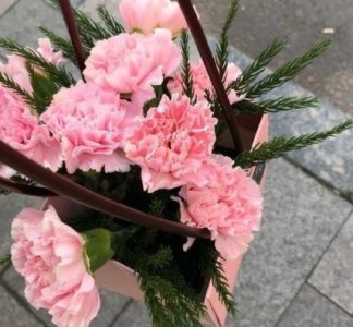 ​很小众却很惊艳的诗句 一瞥惊鸿温柔仙句精选79句