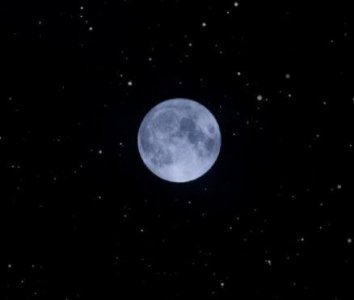 ​结婚最新祝福文案精辟2025(精选79条)