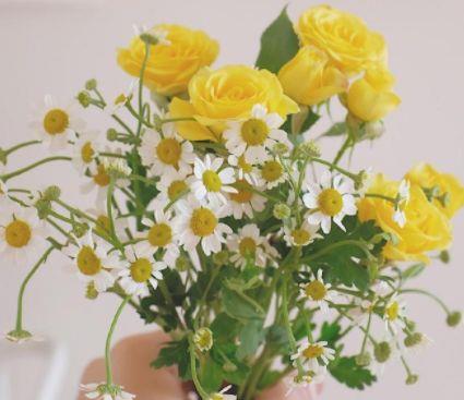 瓦尔登湖句子精选