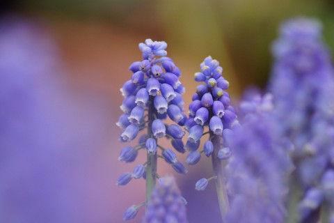 简洁的微信伤感句子69条