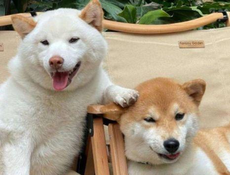 关于父爱的感动句子