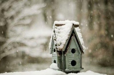 ​保护动物的宣传口号经典