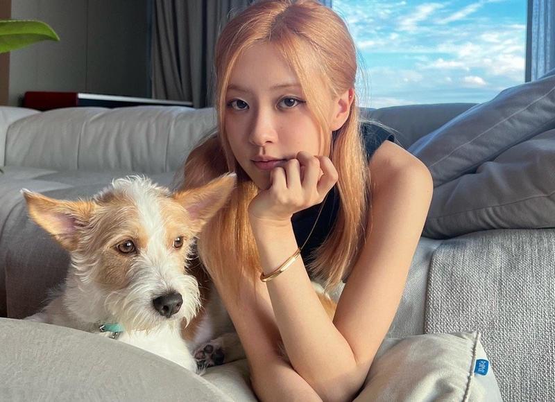 最美好的祝福送给你 给男朋友圣诞节暖心话语 最美好的祝福送给你 给男朋友圣诞节暖心话语