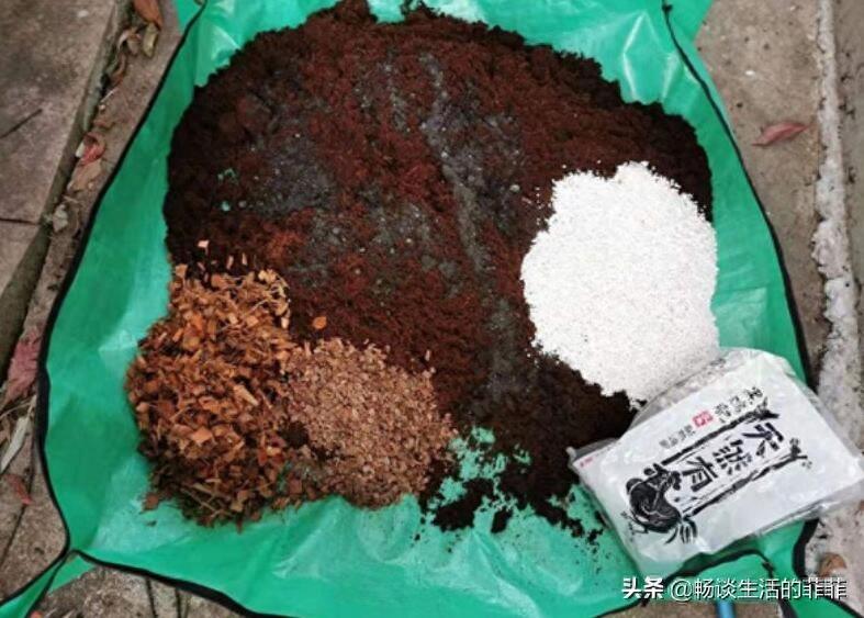 养花的土去哪里挖最好