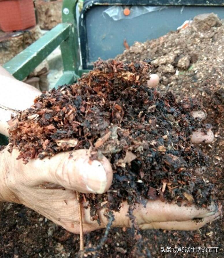 养花的土去哪里挖最好