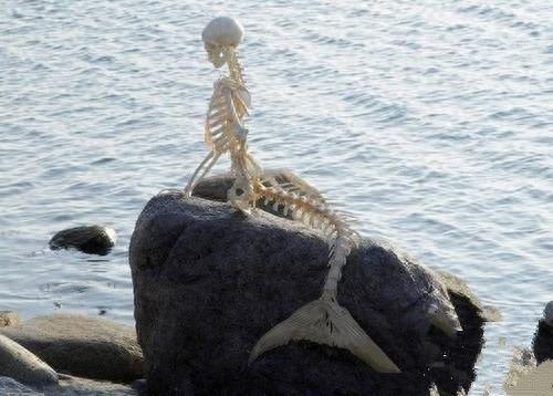 下水道的美人鱼,最后一张厉害了