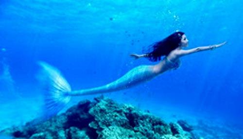 下水道的美人鱼,最后一张厉害了