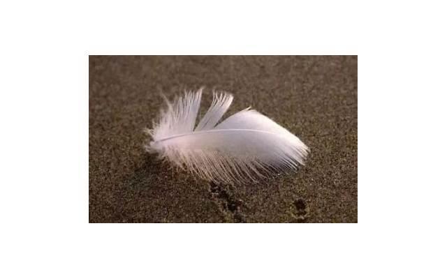 领悟人生的经典语句(励志语录经典短句)