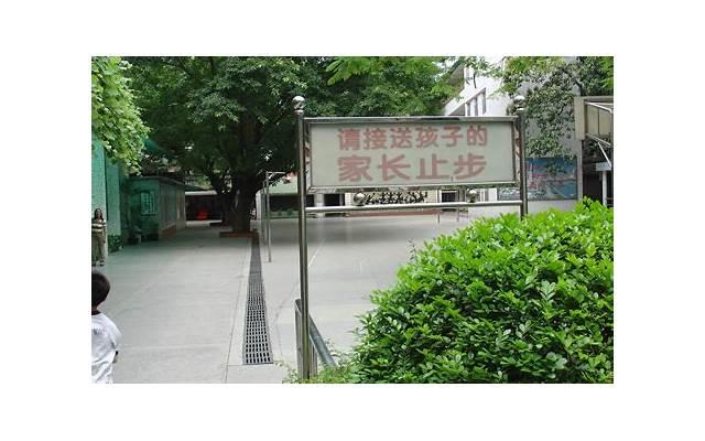 弟汤的句子经典语句(修行的句子经典语句)