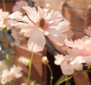 ​励志语录经典短句2025汇编35句