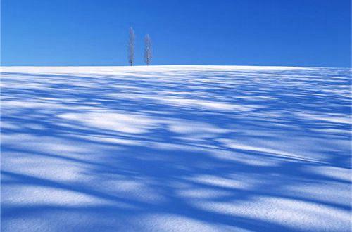 描绘春风的优美句子摘抄