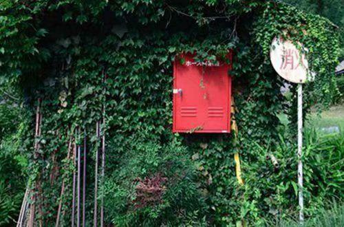 暗恋人的伤心句子