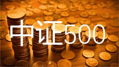 ​硬核对比：中证500基金哪家强？