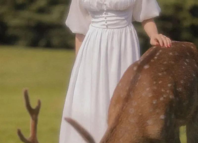 乐亦在其中矣的短句锦集96句 乐亦在其中矣的短句锦集96句