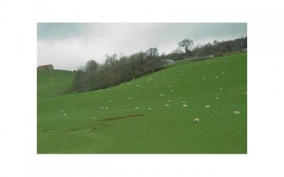 ​让自己清醒的句子（让人瞬间清醒的经典句子）