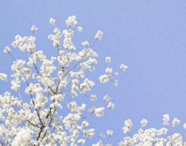 ​宣传世界读书日的活动主题标语