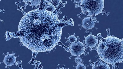 ​杂交水稻是转基因水稻？莫慌，先看看袁隆平院士怎么说