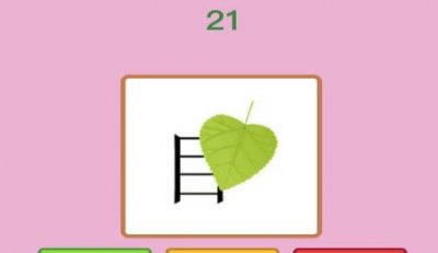 ​一片绿叶一个目字打一成语：一叶障目