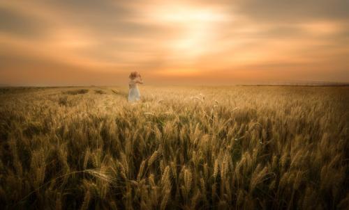 关于梦想的诗句有哪些