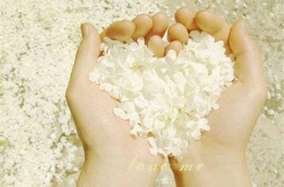 ​表达孤独寂寞的诗句「篇」