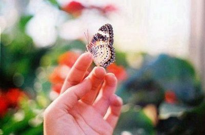 ​柏拉图的名言名句(59句)