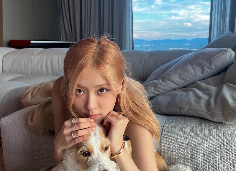 酒店点名口号霸气(服务标语口号优秀大全) 酒店点名口号霸气(服务标语口号优秀大全)