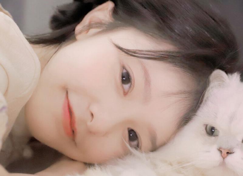 学校校园标语口号大全(教育机构的个性口号) 学校校园标语口号大全(教育机构的个性口号)