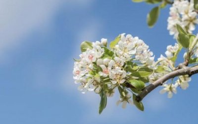 ​关于爱心的名言71句