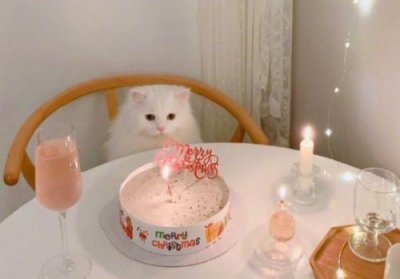 ​关于法律的英文名言