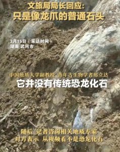 ​真相大白了，湖南邵阳挖出“龙身化石”后续来了！