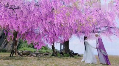 ​东华帝君结局，无欲无求，在万千寿灵中为何偏偏选了凤九殿下