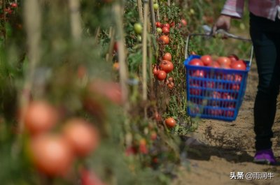 ​沙漠土壤化技术是黑科技吗？