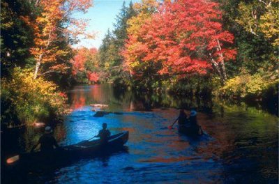 ​关于爱护水的名言警句77句