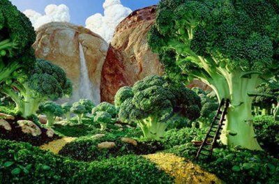 ​关于坚定信念的励志名言警句(42句)