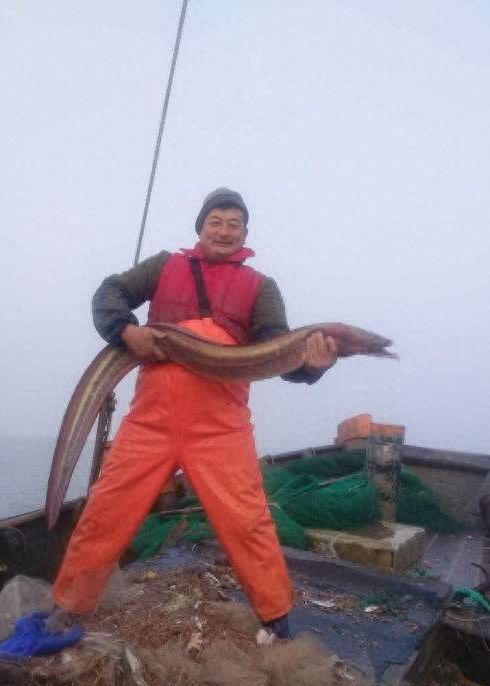 农民捉到堪比蟒蛇的黄鳝，史上最大黄鳝更是重达千斤！