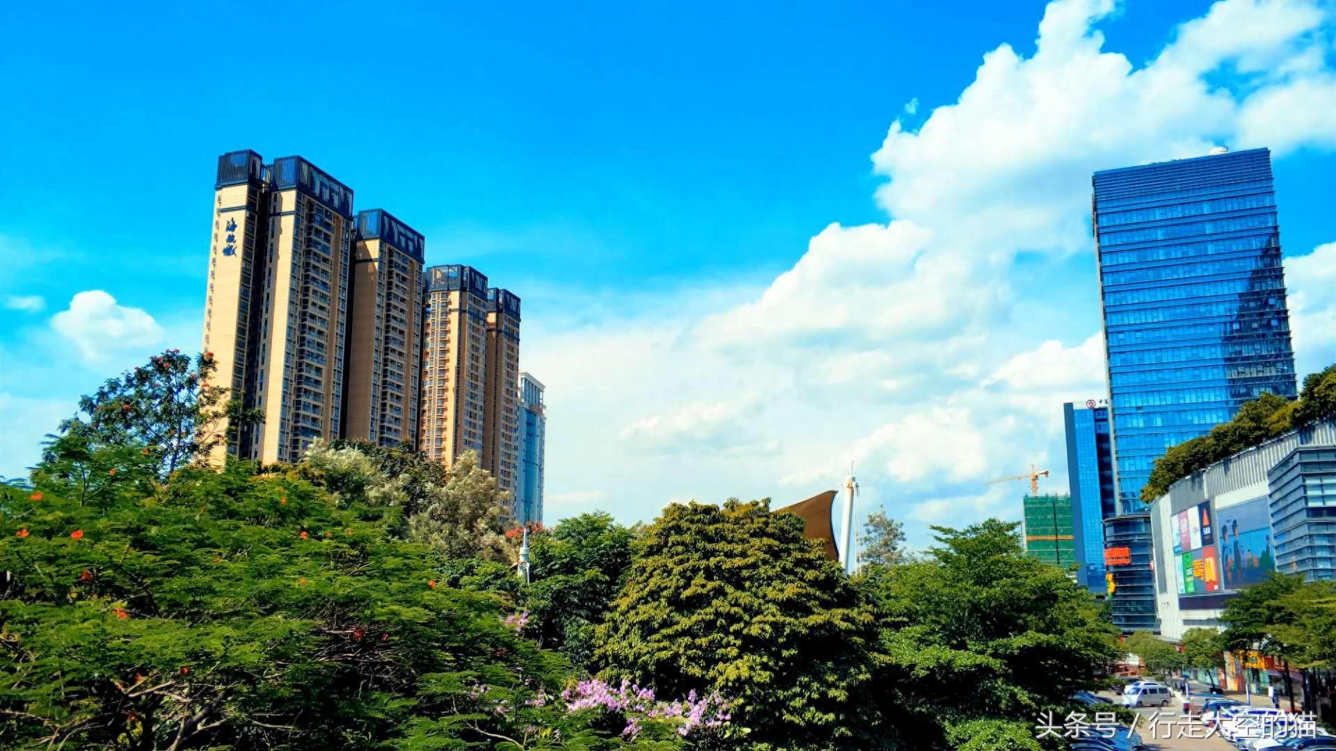 深圳地铁南联站，带领我们领略着深圳这座大都市的发展