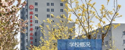 ​高职中的985，院校“双高计划”排第一的：北京电子科技职业学院