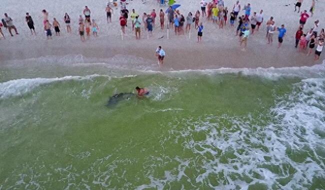 渔夫钓到一条大鲨鱼，经过激烈的搏斗终将其拉上岸