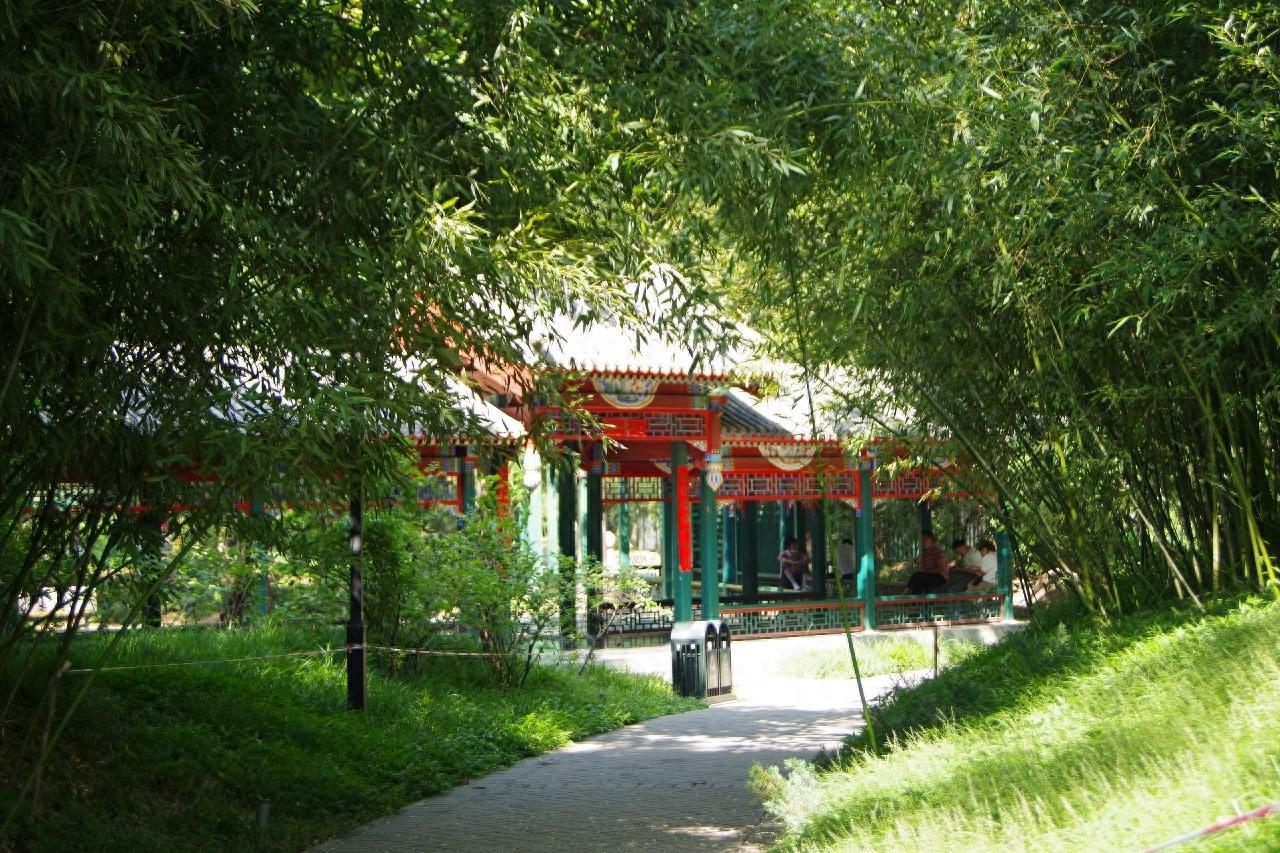北京紫竹院公园