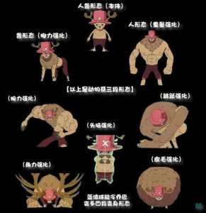 ​海贼王中的人人果实人类吃了没用？尾田提醒别太小瞧恶魔果实！