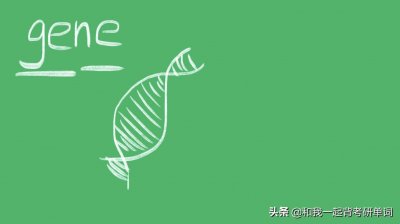 ​gene什么意思