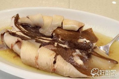 ​老板鱼的形态特征